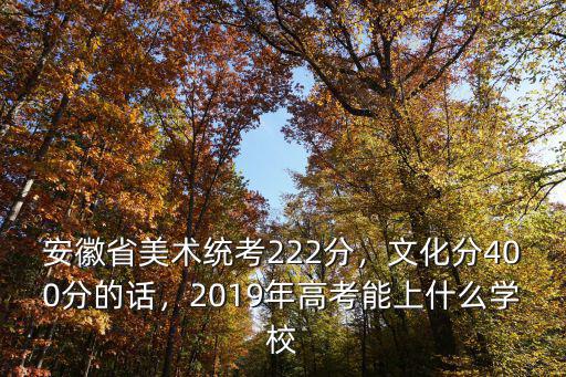 2020年安徽美術(shù)省統(tǒng)考300分有多少,2019年高考能上什么學(xué)校