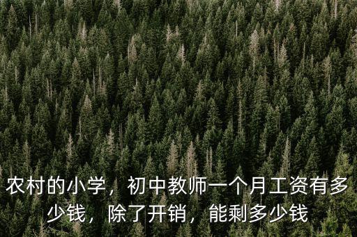農村的小學，初中教師一個月工資有多少錢，除了開銷，能剩多少錢