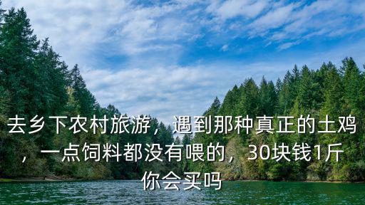去鄉(xiāng)下農(nóng)村旅游，遇到那種真正的土雞，一點飼料都沒有喂的，30塊錢1斤你會買嗎
