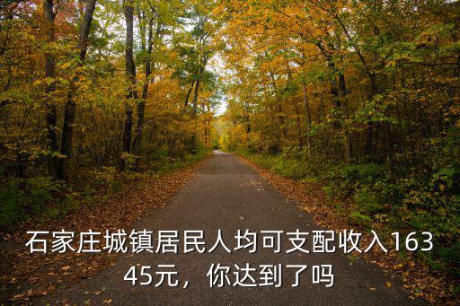 石家莊農民可支配收入是多少,收入多少算是中產