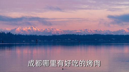 成都哪里有好吃的烤肉