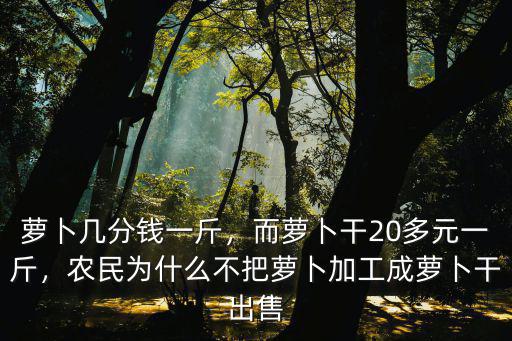 安徽毛集蘿卜多少錢一斤,蘿卜幾分錢一斤