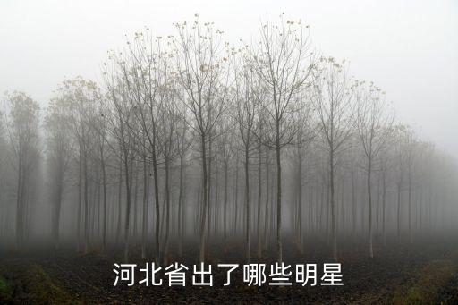 河北出了多少領(lǐng)導(dǎo),河北廊坊市出了多少名人