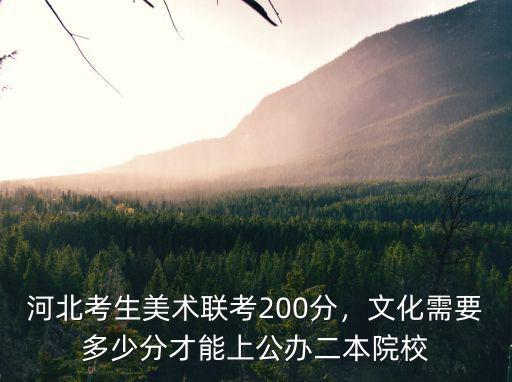 河北美術(shù)生文化課多少分能上本科,河北美術(shù)文科