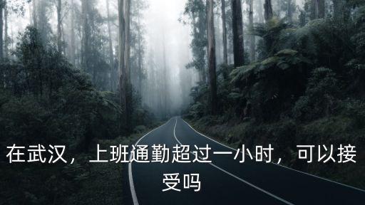 在武漢云商上班怎么樣,在武漢打工生活怎么樣