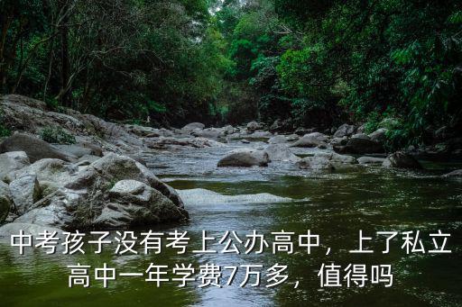 中考孩子沒有考上公辦高中，上了私立高中一年學費7萬多，值得嗎