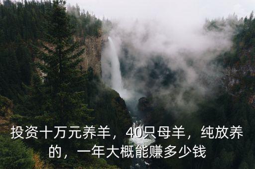 廊坊小母錦羊多少錢一只,羊苗多少錢一只