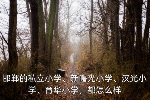 邯鄲的私立小學(xué)、新曙光小學(xué)、漢光小學(xué)、育華小學(xué)，都怎么樣