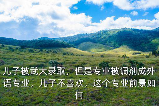 武漢大學(xué)商務(wù)英語(yǔ)專業(yè)怎么樣,商務(wù)英語(yǔ)這個(gè)專業(yè)怎么樣