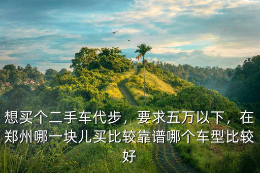 想買個二手車代步，要求五萬以下，在鄭州哪一塊兒買比較靠譜哪個車型比較好