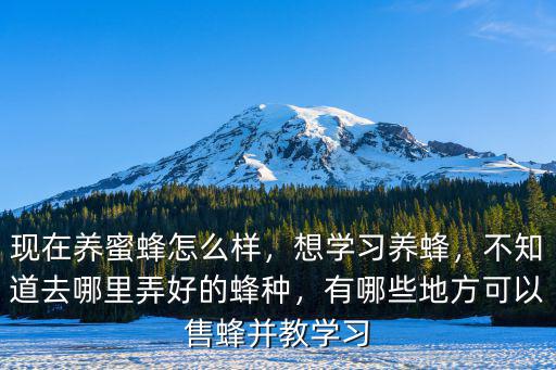 四川哪里有養(yǎng)蜂培訓(xùn),哪里可以培訓(xùn)