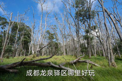 成都龍泉驛區哪里好玩
