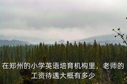 在鄭州的小學英語培育機構里，老師的工資待遇大概有多少