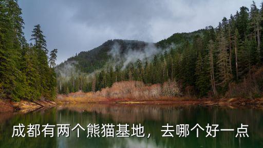 成都哪里看熊貓環境最好,成都有兩個熊貓基地