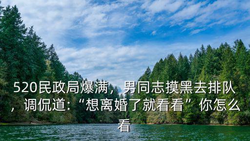 520民政局爆滿，男同志摸黑去排隊，調侃道:“想離婚了就看看”你怎么看
