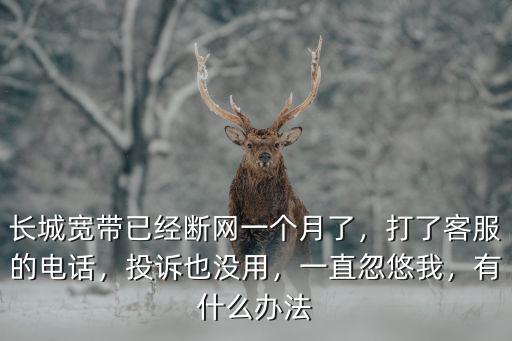 石家莊長城寬帶電話多少錢一個月,長城寬帶已經斷網一個月了