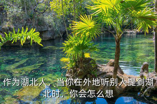 作為湖北人，當你在外地聽別人提到湖北時，你會怎么想