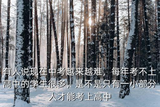 初中多少學(xué)生考不上高中合肥,每年考不上高中的學(xué)生很多