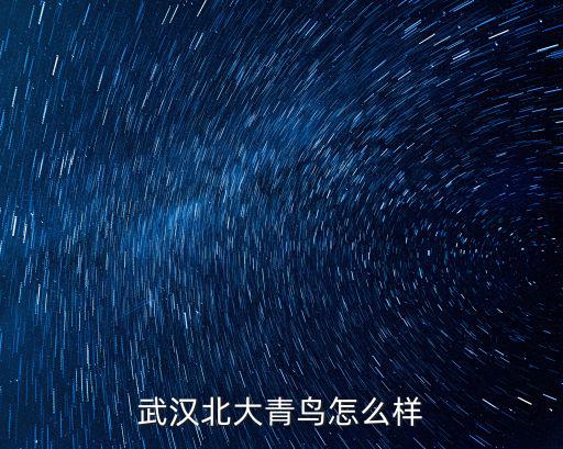 武漢北大青鳥怎么樣