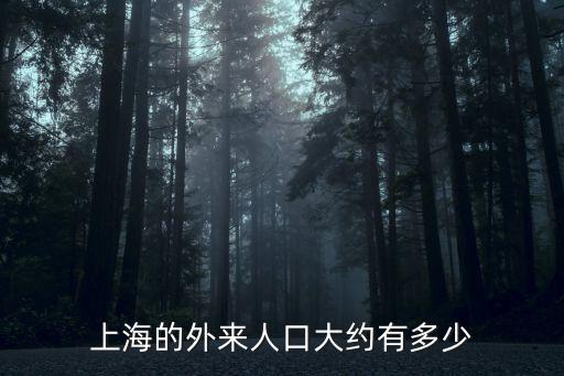 上海的外來人口大約有多少