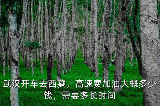 邢臺到武漢高速多少錢,高速費加油大概多少錢