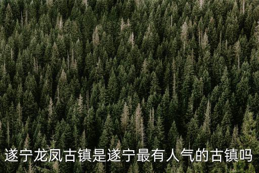 遂寧市龍鳳古鎮政府在哪里,遂寧龍鳳古鎮有住宿嗎