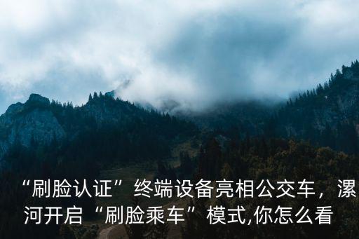 “刷臉認證”終端設(shè)備亮相公交車，漯河開啟“刷臉乘車”模式,你怎么看