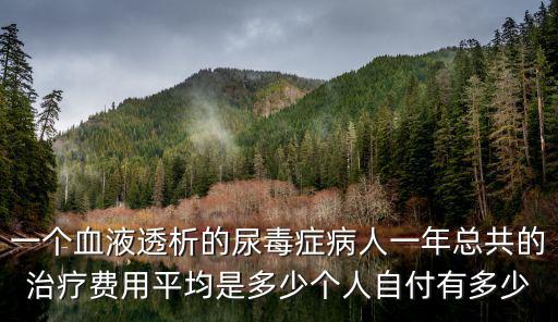一個血液透析的尿毒癥病人一年總共的治療費用平均是多少個人自付有多少