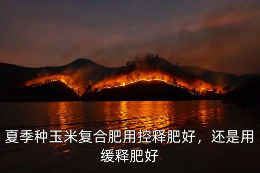 夏季種玉米復合肥用控釋肥好，還是用緩釋肥好