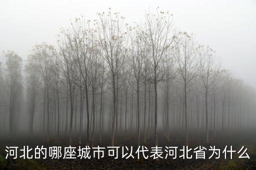 河北省多少城鎮,河北省有多少個市