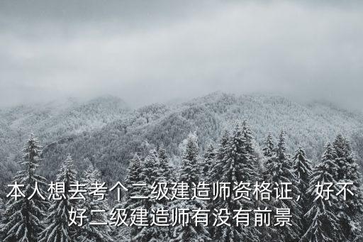 本人有二建造師證在廊坊工資多少錢,憑這個證賺了多少錢