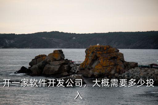 開一家軟件開發公司，大概需要多少投入