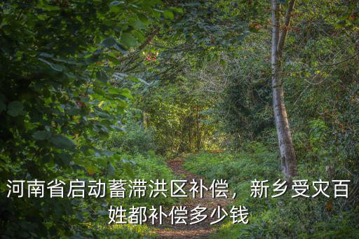 河南省損失多少錢,預(yù)計(jì)要損失多少錢呀