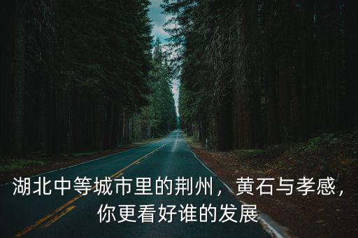 孝感應(yīng)該怎么發(fā)展,孝感為什么要向東發(fā)展