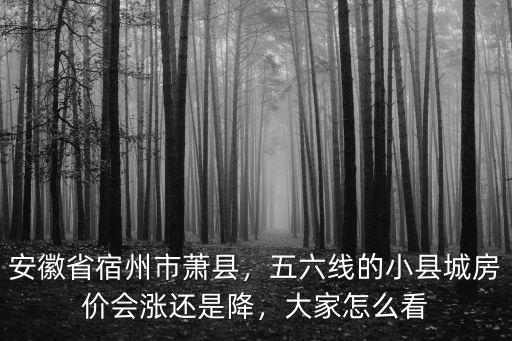 安徽省宿州市蕭縣縣醫院引產多少錢,安徽省宿州市蕭縣