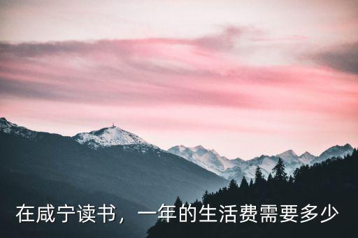 咸寧學(xué)拼音的怎么收費,怎么學(xué)拼音打字