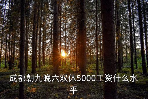 成都朝九晚六雙休5000工資什么水平