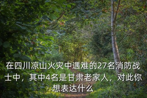 四川火災遇難的消防員都是哪里的,四川大火犧牲的30名消防員