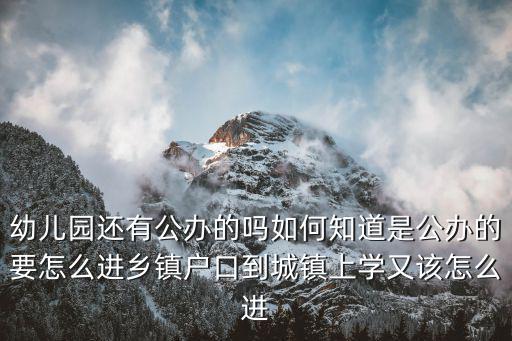 宜昌市公立幼兒園怎么進,公立幼兒園都很難進嗎