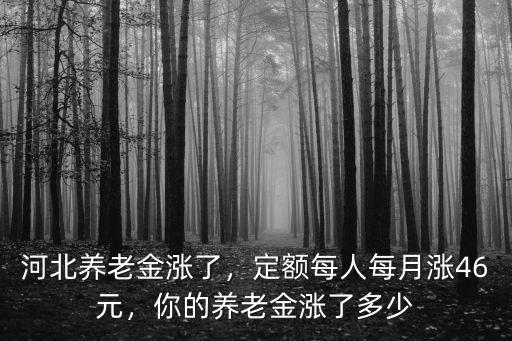 邯鄲地區養老金每人每月多少,定額每人每月漲46元