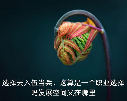 選擇去入伍當(dāng)兵，這算是一個(gè)職業(yè)選擇嗎發(fā)展空間又在哪里