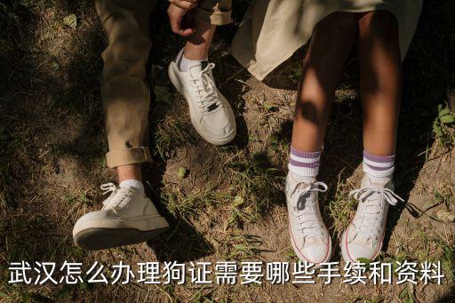 武漢辦狗證怎么掛靠單位,武漢怎么辦理狗證