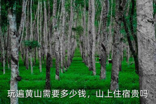 玩遍黃山需要多少錢，山上住宿貴嗎