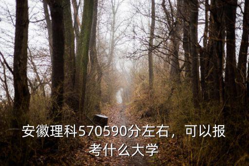 安徽理科570590分左右，可以報考什么大學