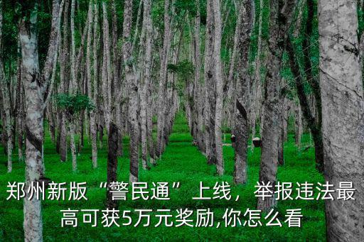 鄭州新版“警民通”上線，舉報違法最高可獲5萬元獎勵,你怎么看