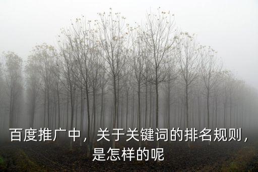 百度推廣中，關于關鍵詞的排名規則，是怎樣的呢