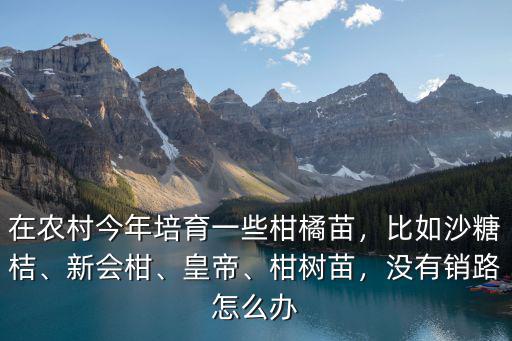 在農村今年培育一些柑橘苗，比如沙糖桔、新會柑、皇帝、柑樹苗，沒有銷路怎么辦