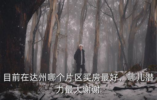 目前在達州哪個片區買房最好，哪兒潛力最大謝謝