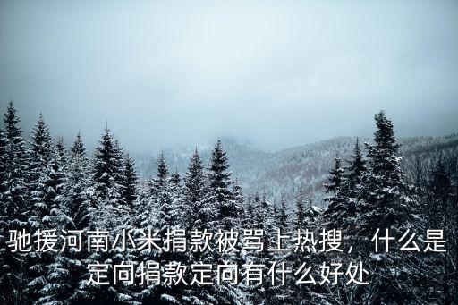 馳援河南小米捐款被罵上熱搜，什么是定向捐款定向有什么好處