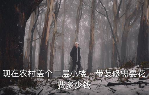 安徽農村蓋個二樓房子多少錢,蓋農村二層樓房需要多少錢